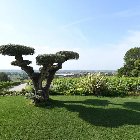 Progress Country & Wine House * Asolo