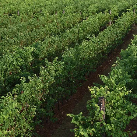 Progress Country & Wine House