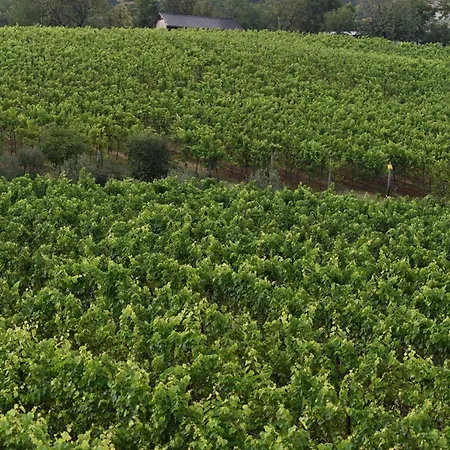Progress Country & Wine House Ξενοδοχείο με διαμερίσματα