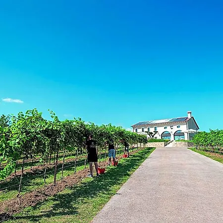 Lejlighedshotel Progress Country & Wine House 4*